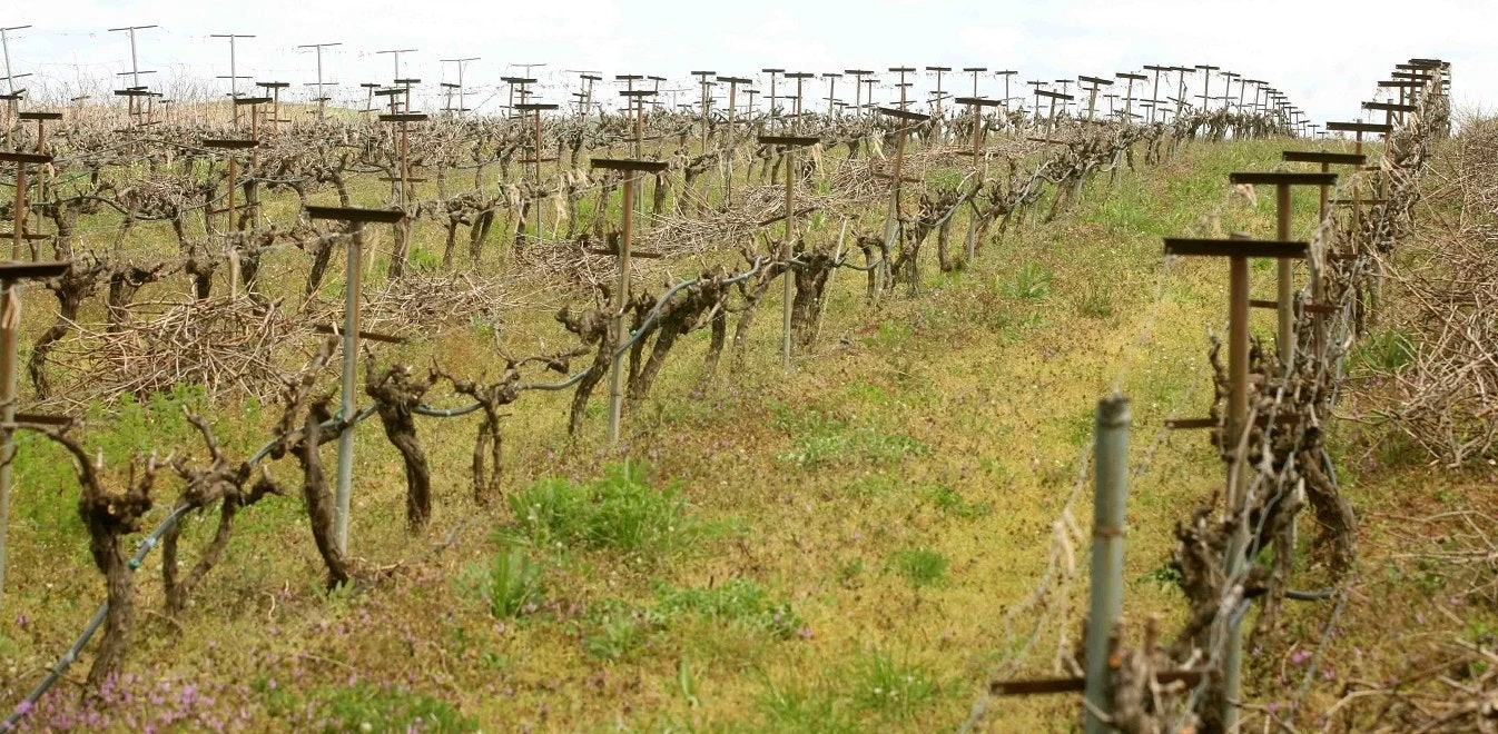 Τι κάνουν για μία ψήφο! – Δωρεάν χωράφια: Σε ποιους τα μοιράζει το κράτος